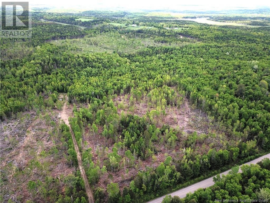 00 730 Route, Scotch Ridge, New Brunswick  E3L 5L4 - Photo 5 - NB100914