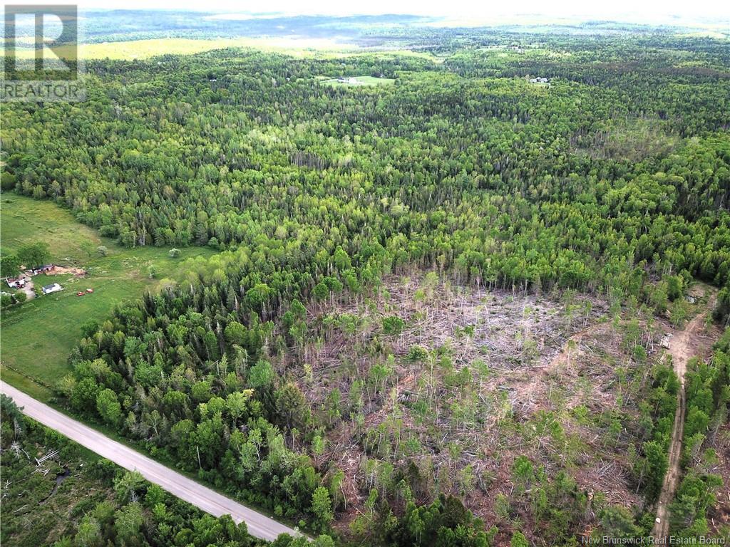 00 730 Route, Scotch Ridge, New Brunswick  E3L 5L4 - Photo 6 - NB100914