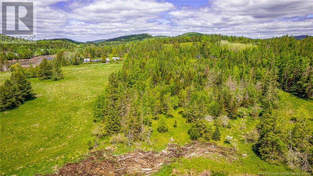 Lot Glebe Road, Chamcook, New Brunswick  E5B 3C3 - Photo 13 - NB100939