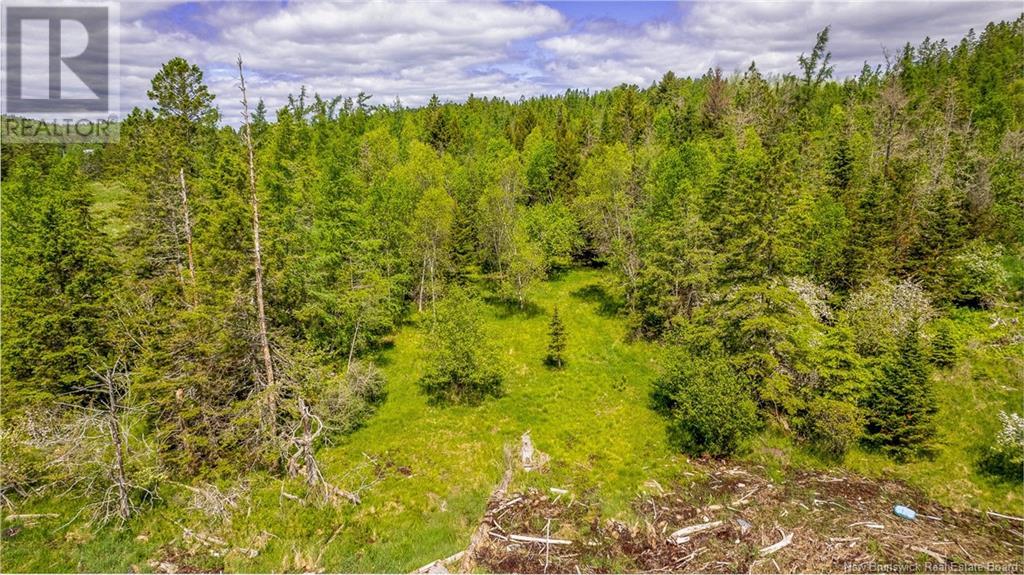 Lot Glebe Road, Chamcook, New Brunswick  E5B 3C3 - Photo 3 - NB100939