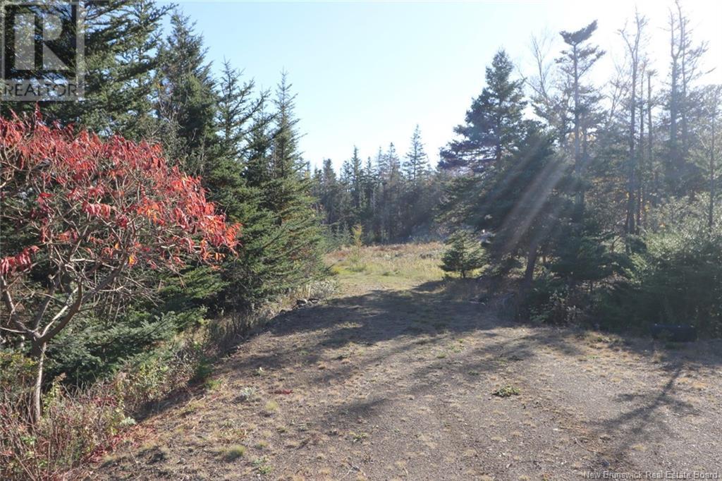 Lot 10-03 Golden Mile Drive, Grand Manan, New Brunswick  E5G 1N1 - Photo 21 - NB102070