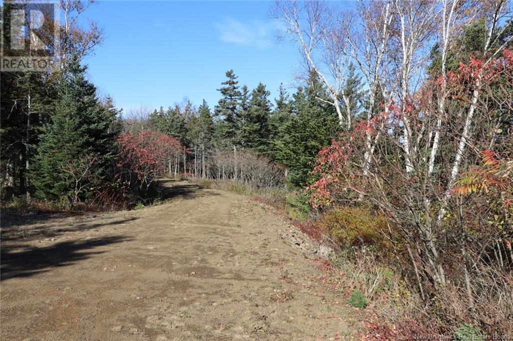 Lot 10-03 Golden Mile Drive, Grand Manan, New Brunswick  E5G 1N1 - Photo 22 - NB102070