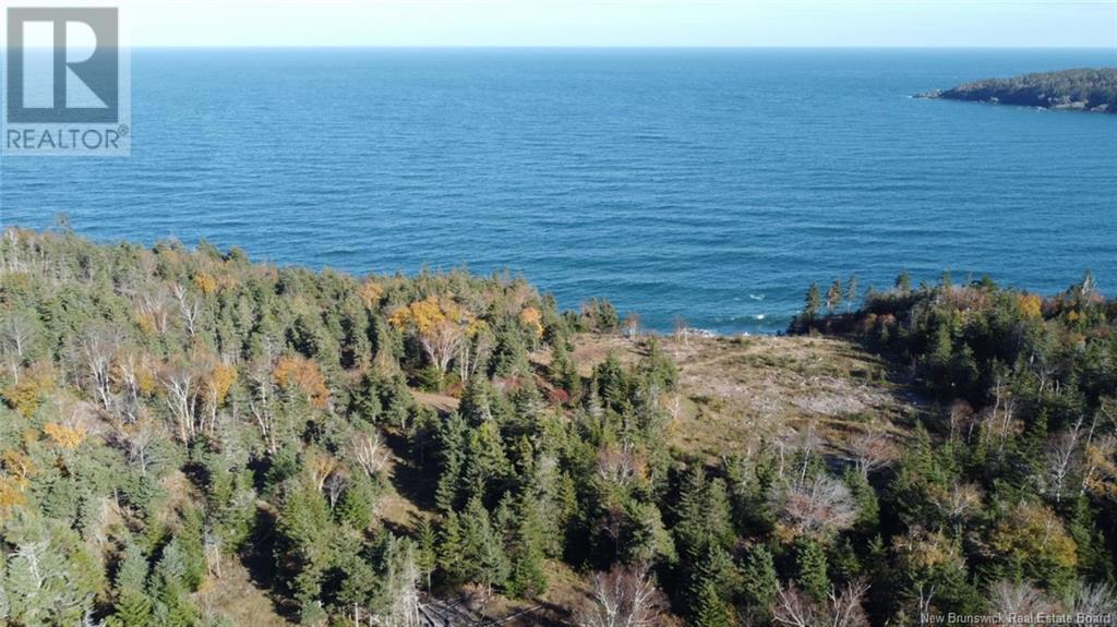 Lot 10-03 Golden Mile Drive, Grand Manan, New Brunswick  E5G 1N1 - Photo 5 - NB102070