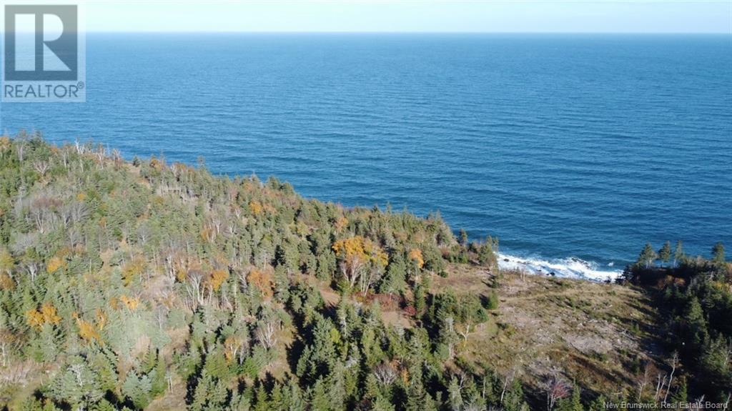 Lot 10-03 Golden Mile Drive, Grand Manan, New Brunswick  E5G 1N1 - Photo 7 - NB102070