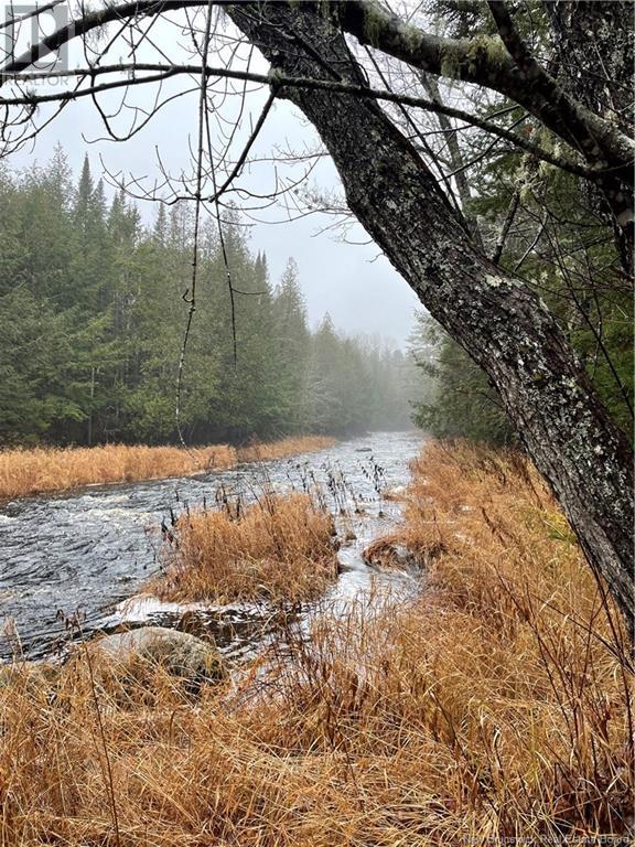 519 725 Route, Little Ridge, New Brunswick  E3L 5P4 - Photo 13 - NB102356