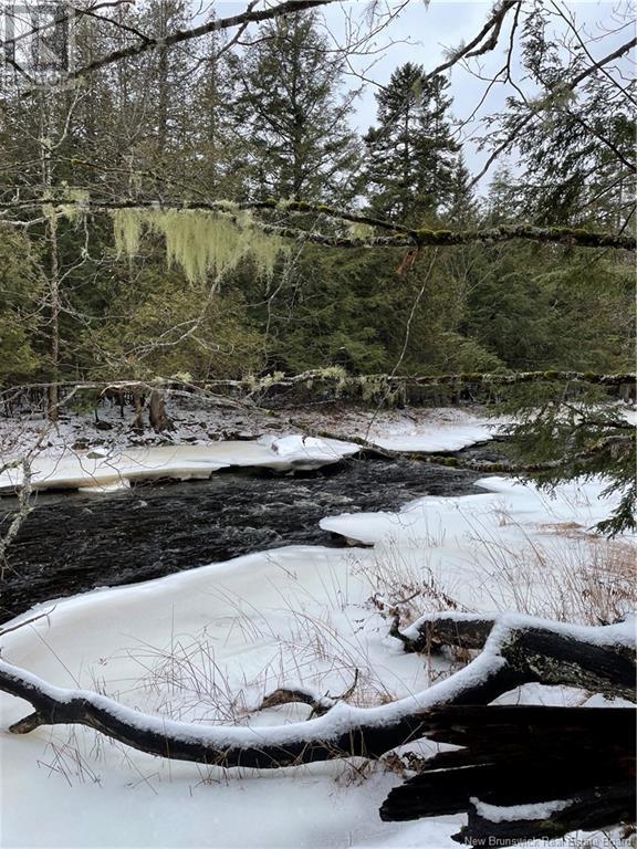 519 725 Route, Little Ridge, New Brunswick  E3L 5P4 - Photo 17 - NB102356