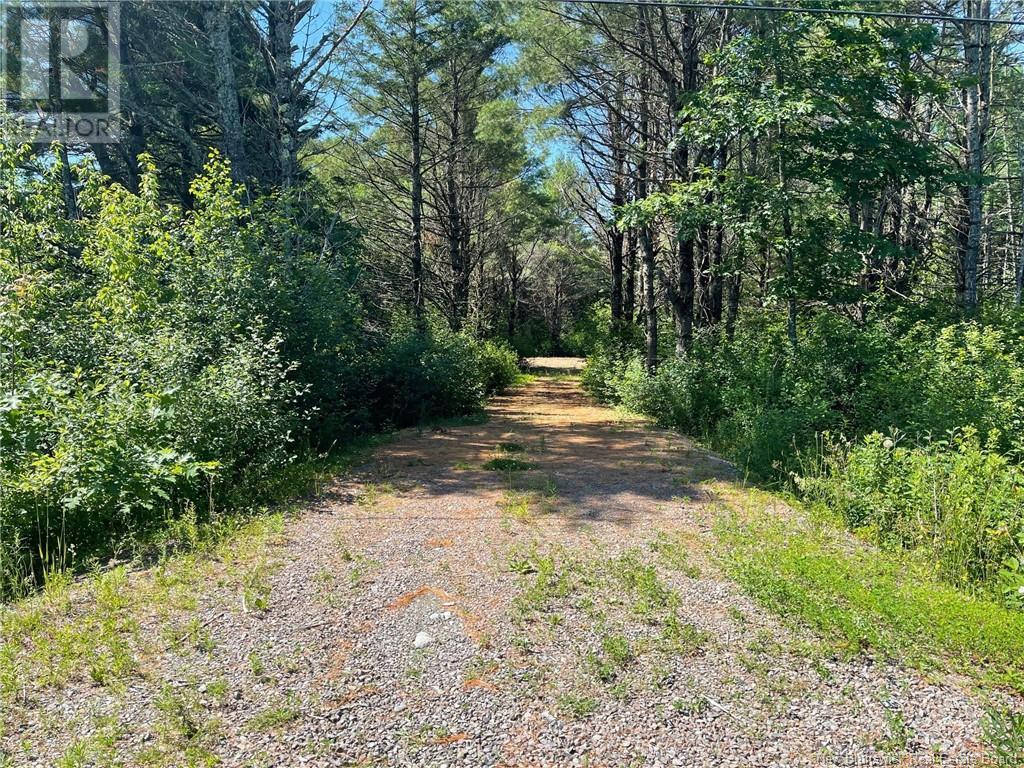 519 725 Route, Little Ridge, New Brunswick  E3L 5P4 - Photo 3 - NB102356