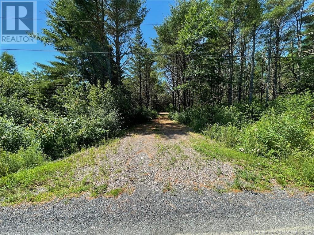 519 725 Route, Little Ridge, New Brunswick  E3L 5P4 - Photo 4 - NB102356