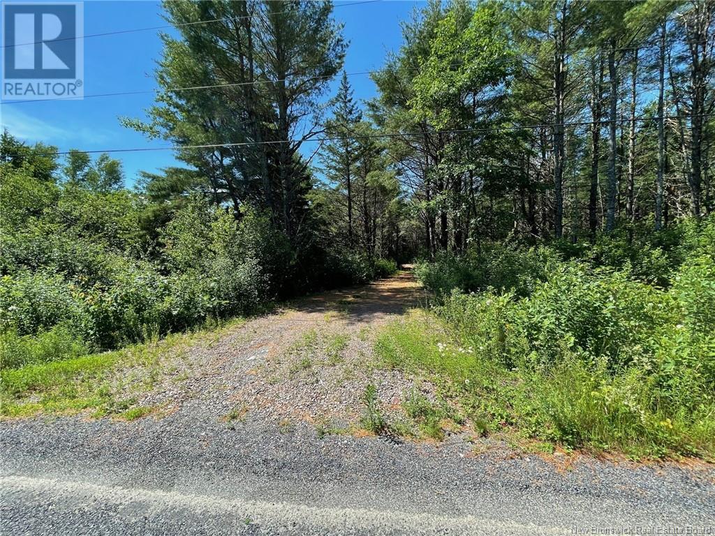 519 725 Route, Little Ridge, New Brunswick  E3L 5P4 - Photo 5 - NB102356