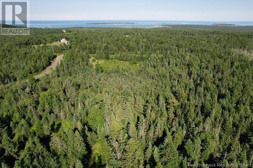 - Dark Harbour Road, Grand Manan, New Brunswick  E5G 1C6 - Photo 7 - NB102570