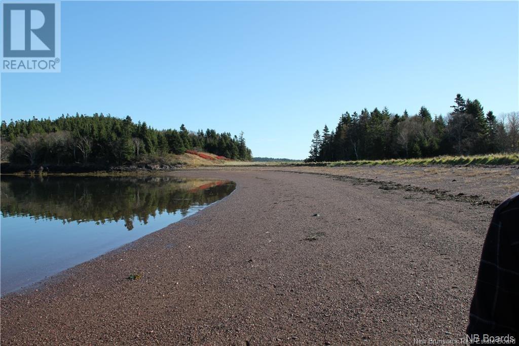 - Hills Island/mccann Island, Back Bay, New Brunswick  E5G 1G1 - Photo 28 - NB102935