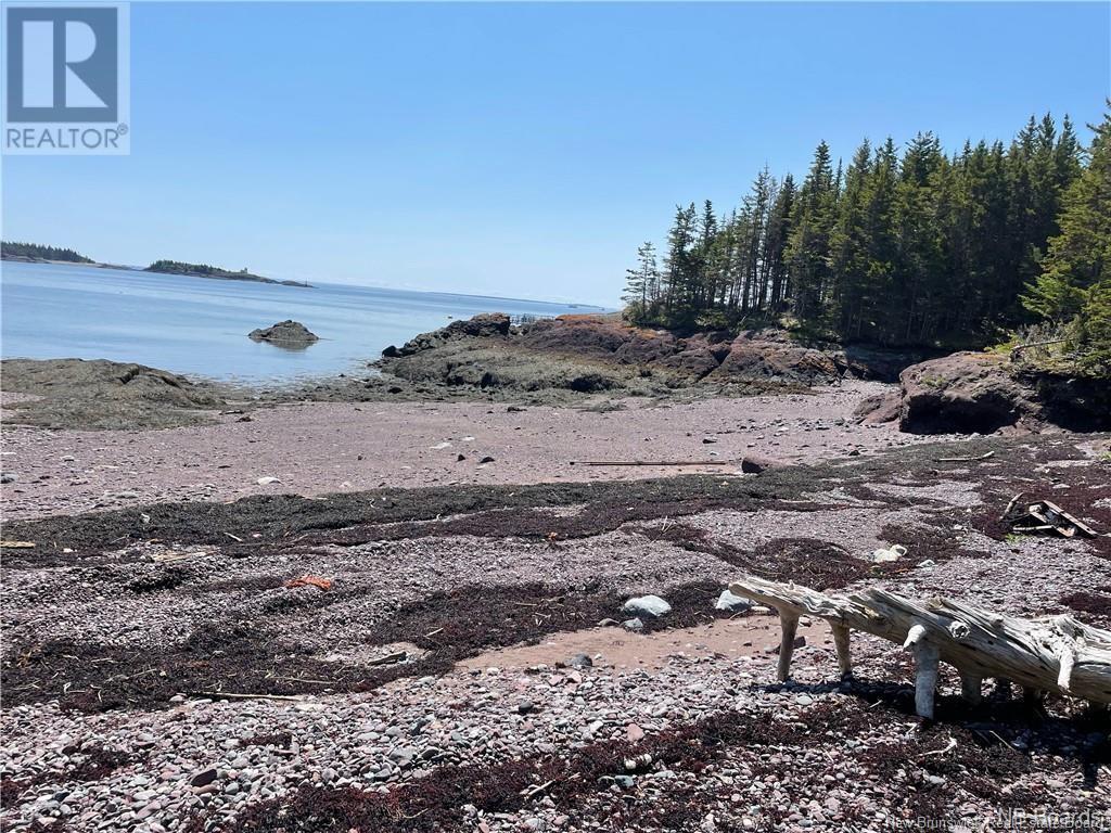 - Hills/mccann Island, Back Bay, New Brunswick  E5G 1G1 - Photo 13 - NB102928