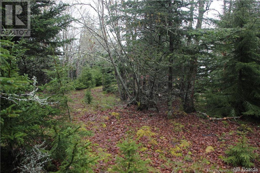 - Hills/mccann Island, Back Bay, New Brunswick  E5G 1G1 - Photo 29 - NB102928