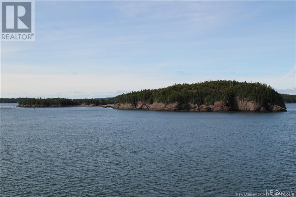 - Hills/mccann Island, Back Bay, New Brunswick  E5G 1G1 - Photo 3 - NB102928