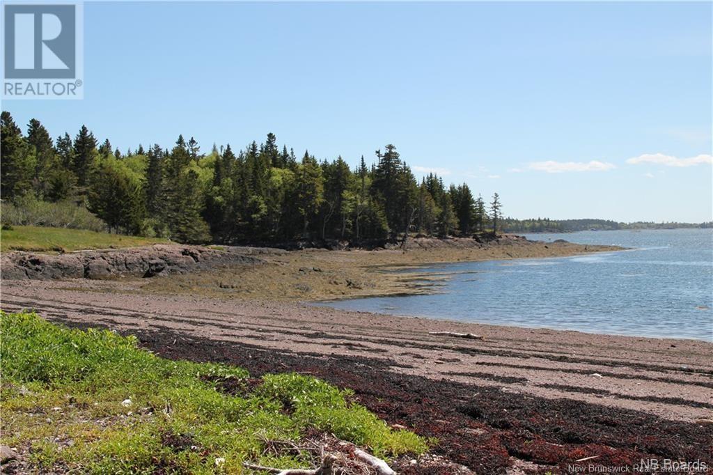 - Hills/mccann Island, Back Bay, New Brunswick  E5G 1G1 - Photo 38 - NB102928