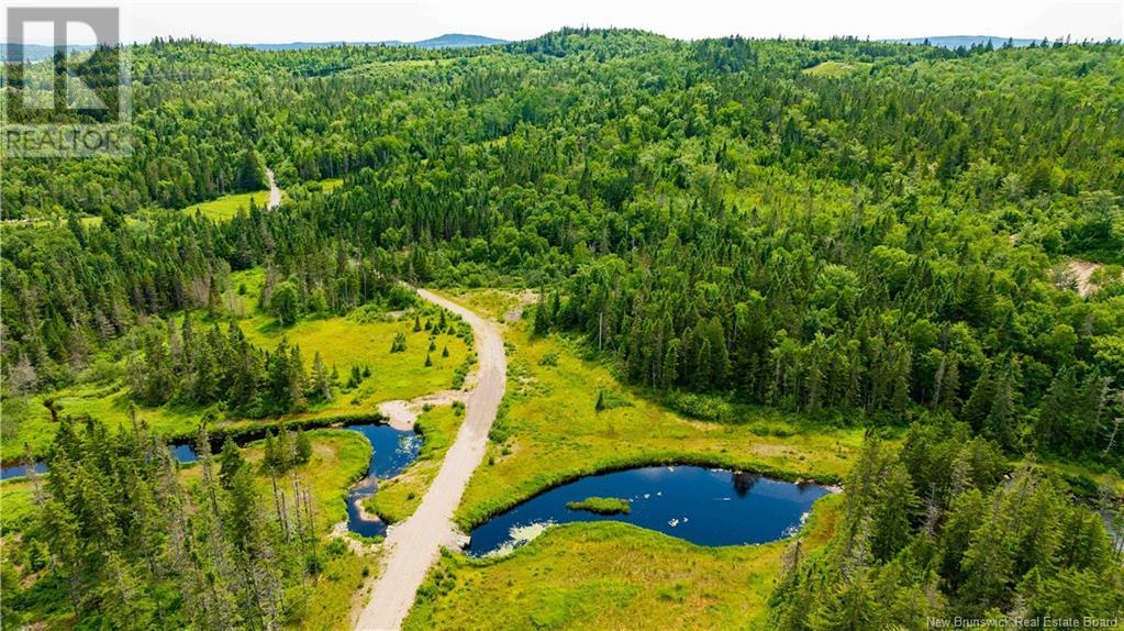 N/a Shadow Lake Road, Prince Of Wales, New Brunswick  E5J 2K2 - Photo 16 - NB103023