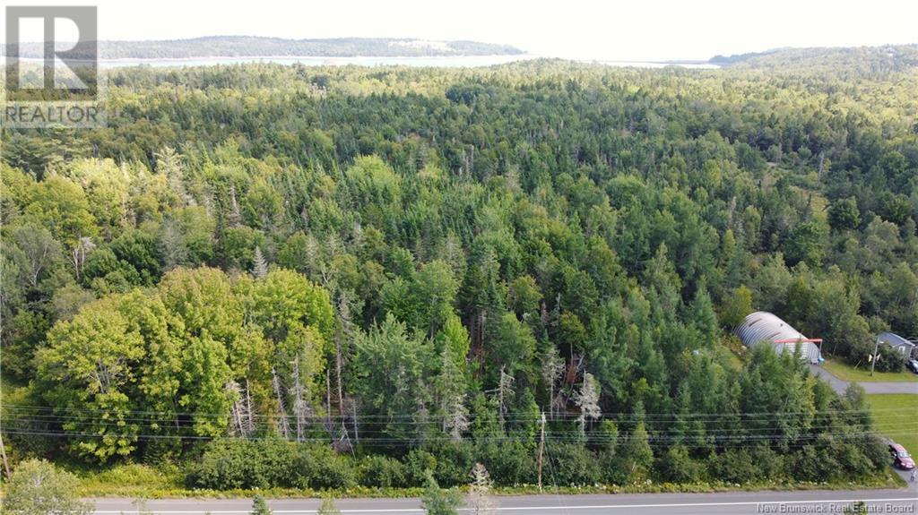 Lot 23-4 Route 127, Chamcook, New Brunswick  E5B 3A2 - Photo 2 - NB103353