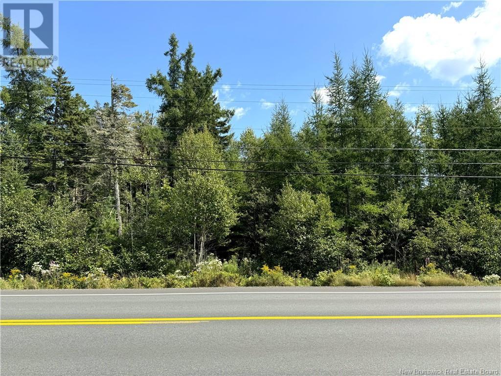 Lot 23-4 Route 127, Chamcook, New Brunswick  E5B 3A2 - Photo 6 - NB103353