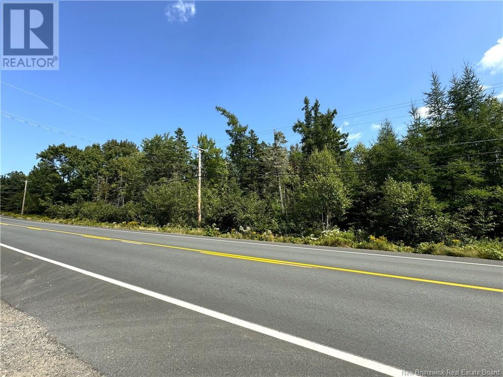 Lot 23-4 Route 127, Chamcook, New Brunswick  E5B 3A2 - Photo 8 - NB103353