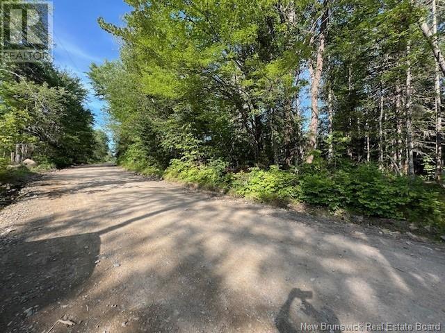 Vacant Lot G Ewart Hyde Road, Lake George, New Brunswick  E6K 3L5 - Photo 5 - NB103651