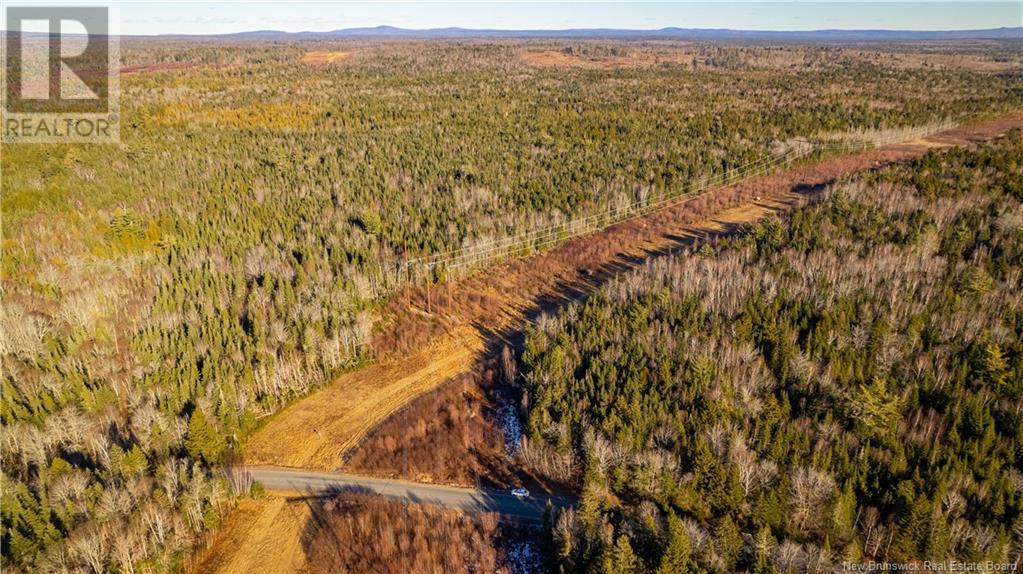 Vacant Land Boyd Road, Clarence Ridge, New Brunswick  E5A 2G8 - Photo 12 - NB103898