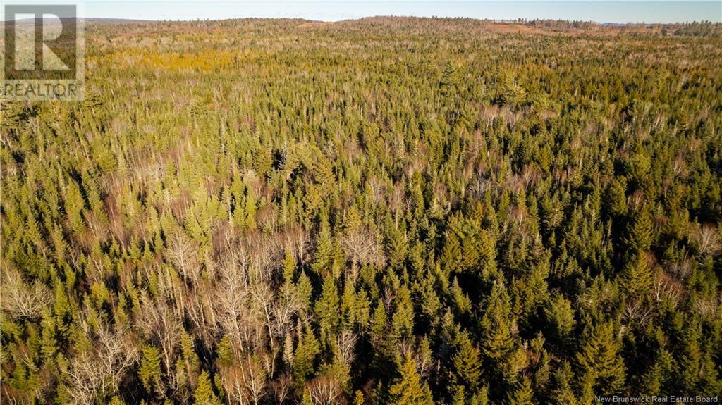 Vacant Land Boyd Road, Clarence Ridge, New Brunswick  E5A 2G8 - Photo 14 - NB103898