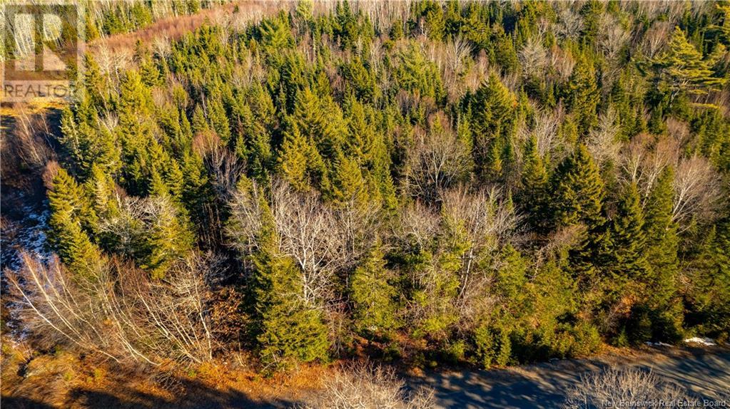 Vacant Land Boyd Road, Clarence Ridge, New Brunswick  E5A 2G8 - Photo 2 - NB103898