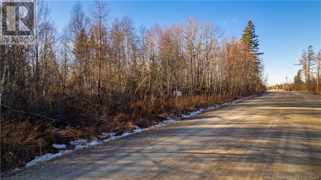 Vacant Land Boyd Road, Clarence Ridge, New Brunswick  E5A 2G8 - Photo 21 - NB103898