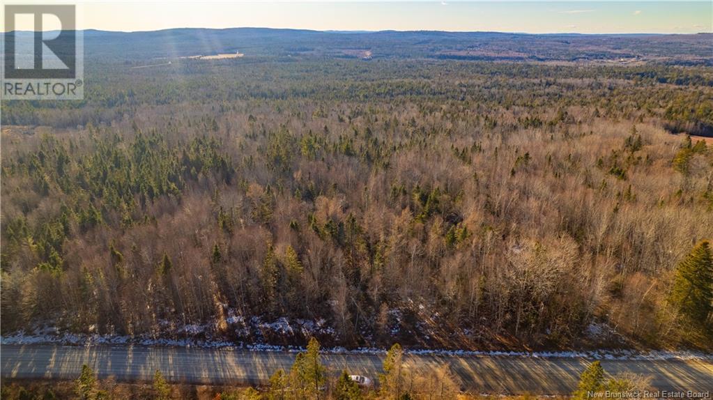 Vacant Land Boyd Road, Clarence Ridge, New Brunswick  E5A 2G8 - Photo 23 - NB103898