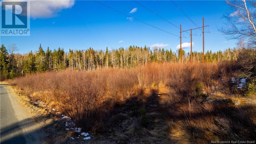 Vacant Land Boyd Road, Clarence Ridge, New Brunswick  E5A 2G8 - Photo 31 - NB103898