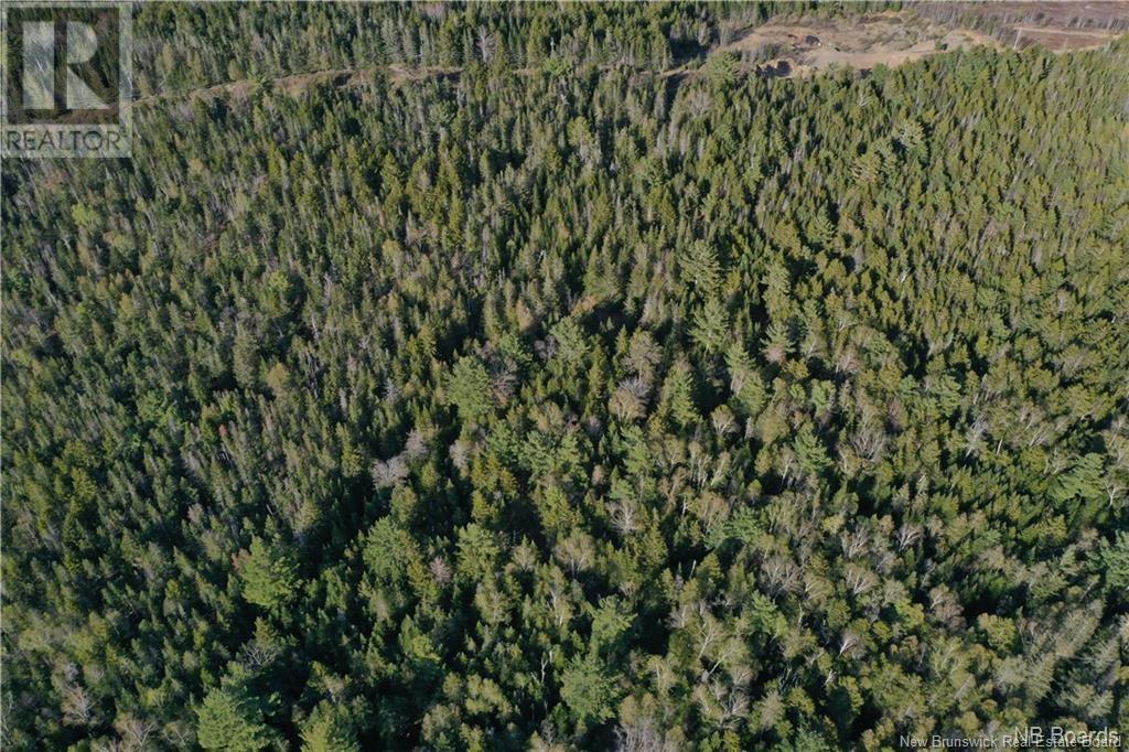 172 Lily Hill Road, Oak Bay, New Brunswick  E3L 4E6 - Photo 8 - NB104022