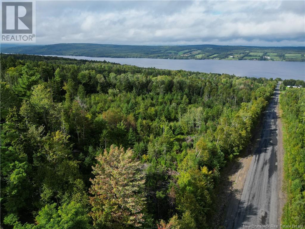 Lot Pokiok Settlement Road, Prince William, New Brunswick  E6K 3Z3 - Photo 6 - NB104781