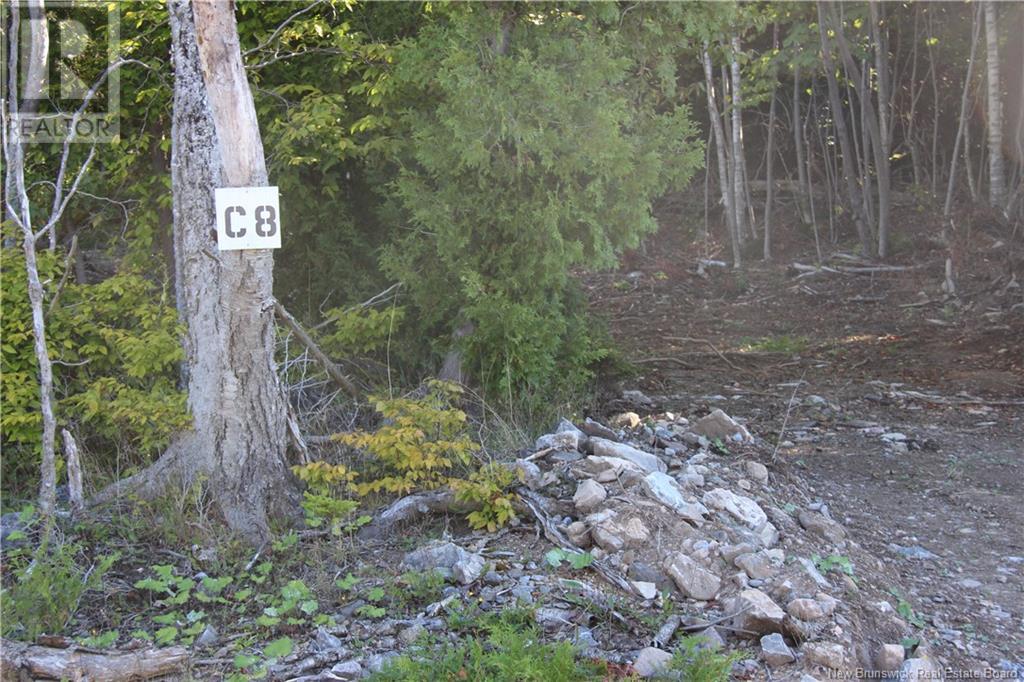 00 Shoreline Drive, Saint John, New Brunswick