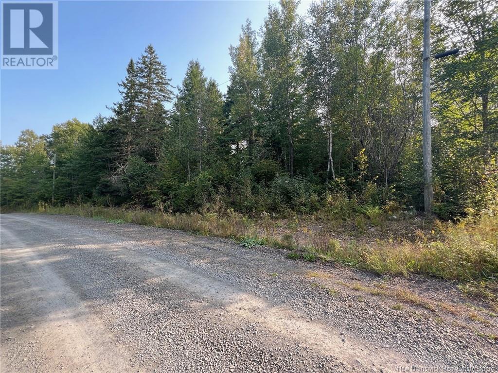 Vacant Lot Hurley Road, Harvey, New Brunswick  E6K 2X6 - Photo 4 - NB105961