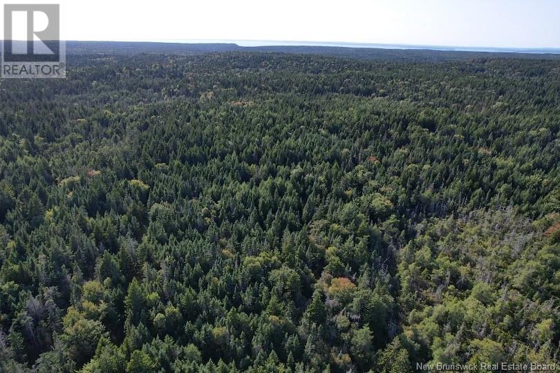 Lot Dock Road, Grand Manan, New Brunswick  E5G 4B8 - Photo 3 - NB106309