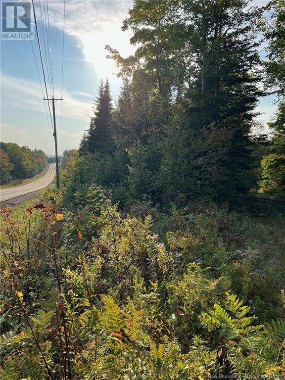 Lot 24-2 Rte 3, Harvey, New Brunswick  E6K 1T3 - Photo 2 - NB106290