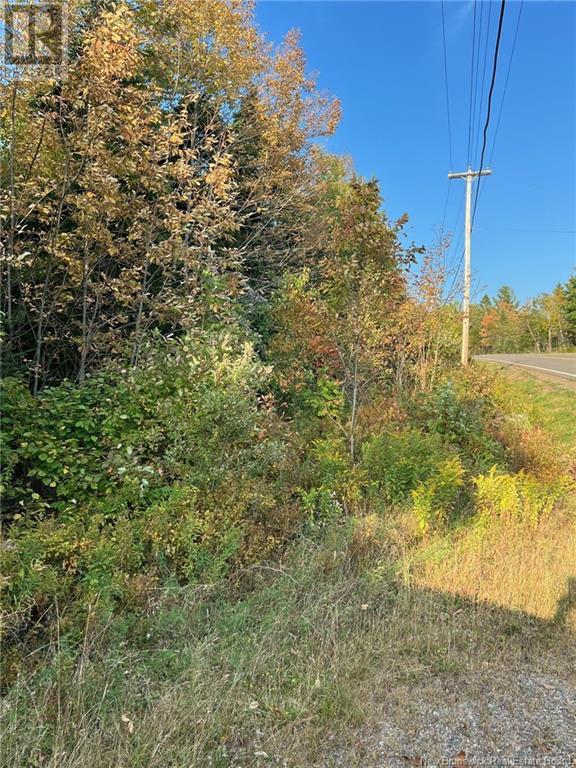 Lot 24-1 Rte 3, Harvey, New Brunswick  E6K 1T3 - Photo 2 - NB106283