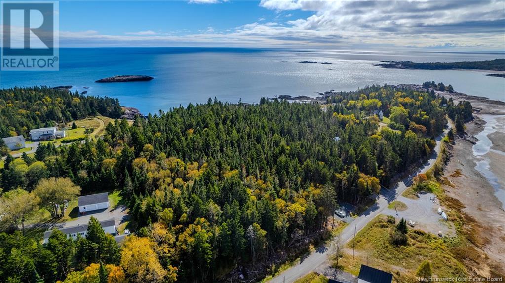 - Crow Island Road, Chance Harbour, New Brunswick  E5J 1Z7 - Photo 9 - NB106557