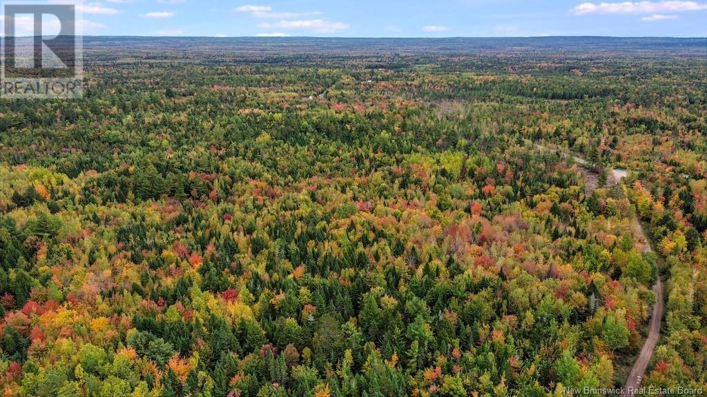 Lot Mast Road, Three Tree Creek, New Brunswick  E5L 1M1 - Photo 2 - NB107257