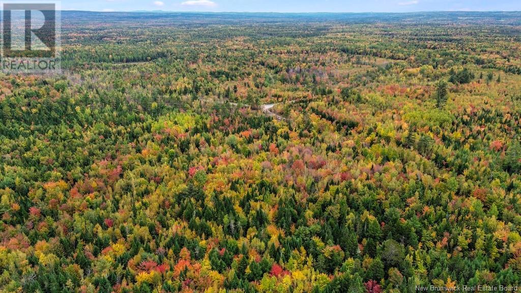 Lot Mast Road, Three Tree Creek, New Brunswick  E5L 1M1 - Photo 3 - NB107257