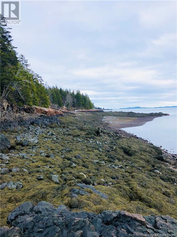 Lot 11 Fiander Road, Bocabec, New Brunswick  E5B 3M6 - Photo 3 - NB107489