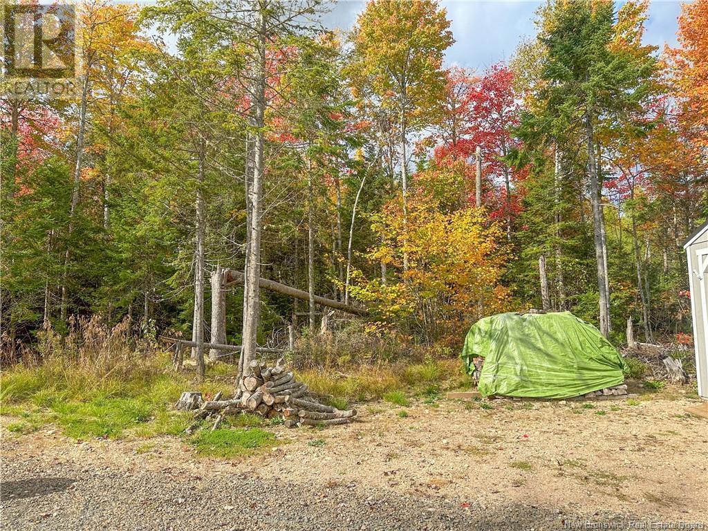 25 Holt Road, Harvey, New Brunswick  E6K 1C4 - Photo 41 - NB107578