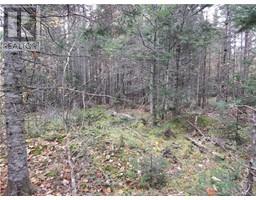 Ridgeway Avenue, Grand Bay-Westfield, New Brunswick