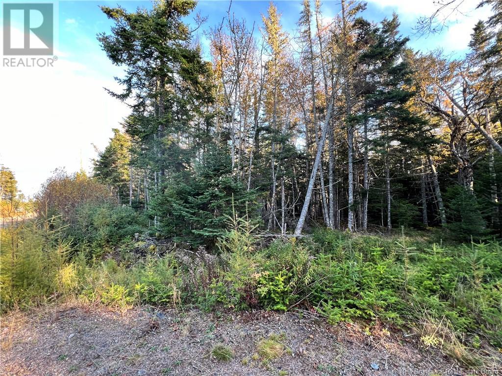 -- Lomax Drive, Little Lepreau, New Brunswick  E5J 1R5 - Photo 6 - NB108289