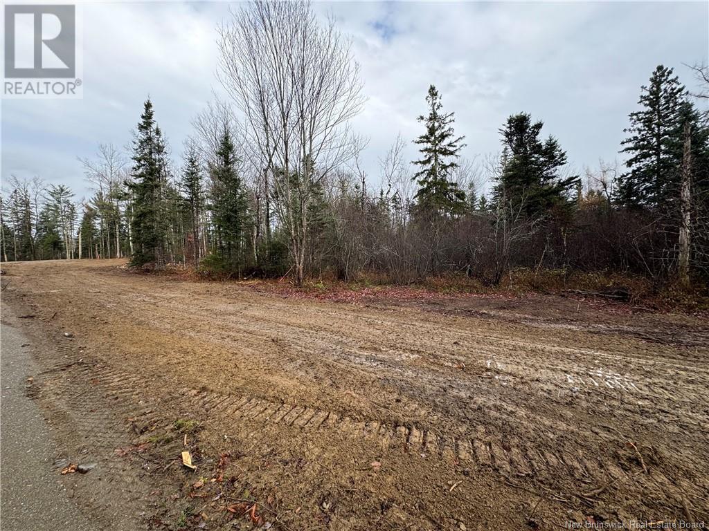 - Thomas Creek Lane, Oak Bay, New Brunswick  E3L 0G9 - Photo 10 - NB108403