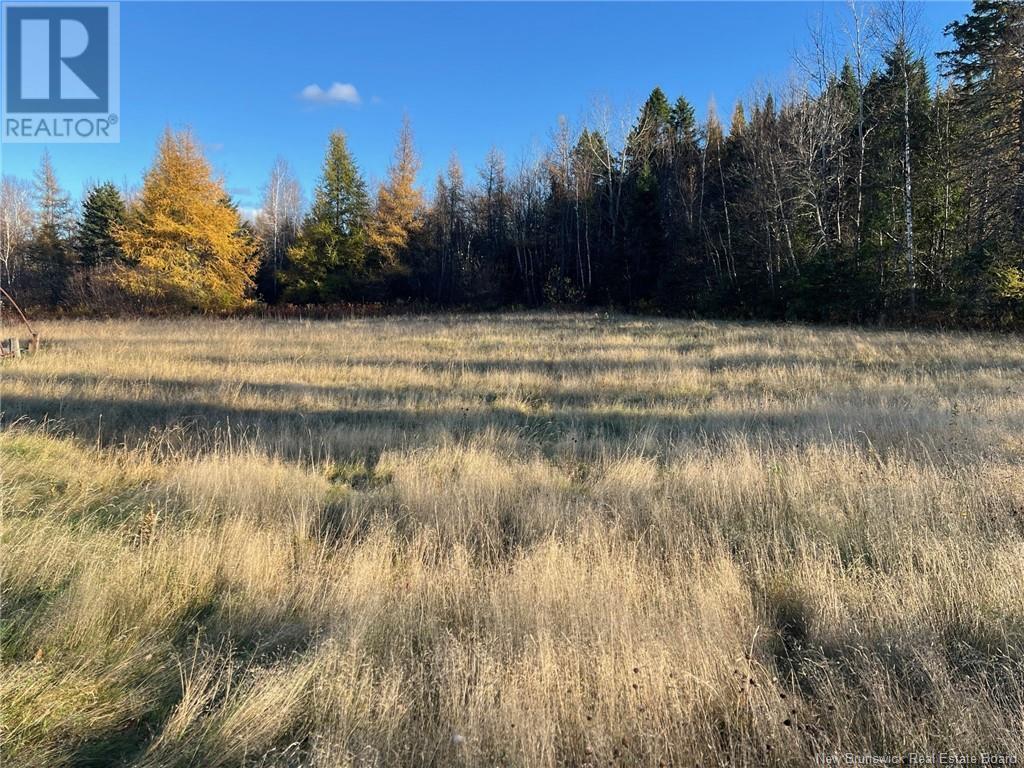 Vacant Lot Route 3, Harvey, New Brunswick  E6K 1R5 - Photo 2 - NB108544