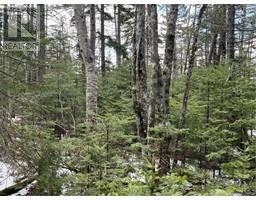 Lot 1 and 2 Plan 4632 Route 645, Harvey, New Brunswick