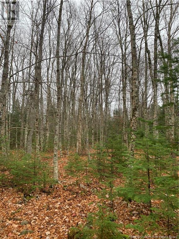 - Upper Waweig Road, Upper Waweig, New Brunswick  E3L 4N1 - Photo 2 - NB108762