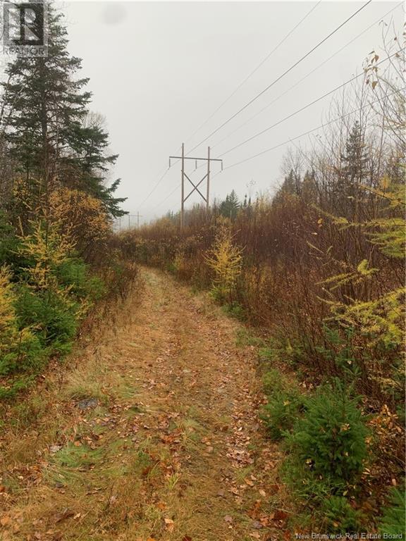 - Upper Waweig Road, Upper Waweig, New Brunswick  E3L 4N1 - Photo 3 - NB108762