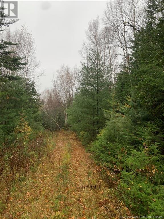 - Upper Waweig Road, Upper Waweig, New Brunswick  E3L 4N1 - Photo 4 - NB108762